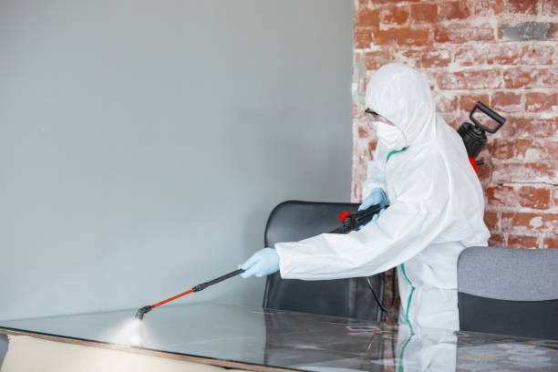 Best Mold Odor Removal Services  in Cuba City, WI